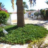 Bungalow a Torrevieja Los Angeles avec jardin a cote de la plage
